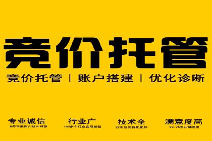 百度SEO推广公司案例汇编：实战优化策略全解析